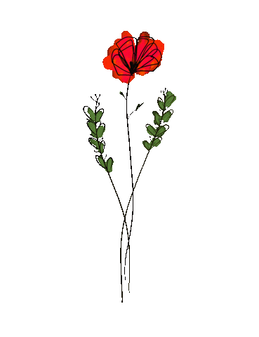 deannafiedler rainbow flowers poppies colorful flowers Sticker
