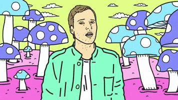 MarceloSeltzer seltzer marceloseltzer GIF