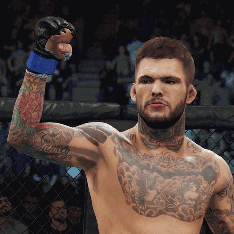 no love fight GIF by EA SPORTS UFC