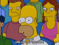 homer simpson GIF