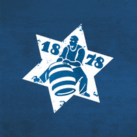 KarlsbergBrauerei beer cheers bier prost GIF