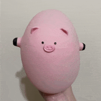 Angry Pig GIF