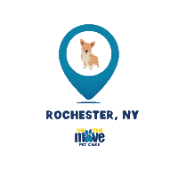 Cat Love Sticker by OTM Pet Care