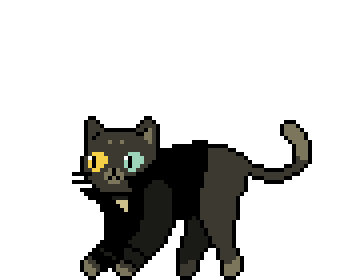 Ruffcity Sticker