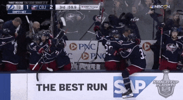 happy ice hockey GIF by NHL