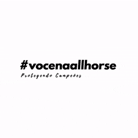 allhorse horse cavalo clc caballo GIF