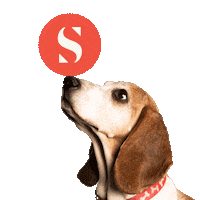 SignalTheory dog marketing puppy icon Sticker