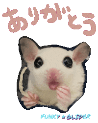 Tofu Sticker