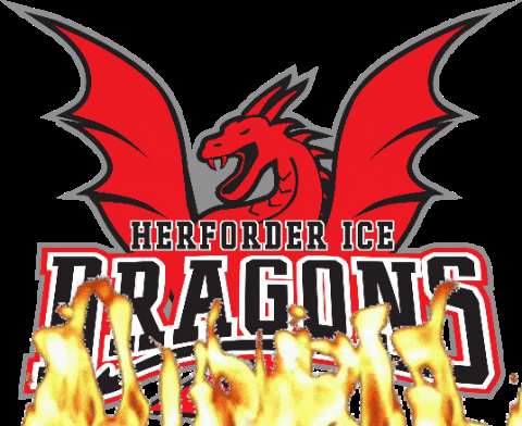 Red Dragon Hockey GIF by Herforder EV