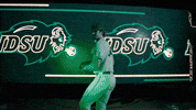 Ndsu Baseball GIF by NDSU Athletics