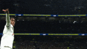 Premier League Football GIF by Tottenham Hotspur