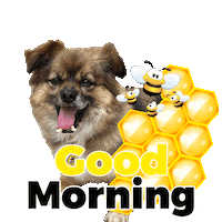 Bees Honeybee Sticker by Pimp Yo Pets
