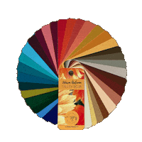 Color Palette Coloranalysis Sticker by Sanja Pandurov
