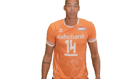 Volleyball Sticker by Nevobo