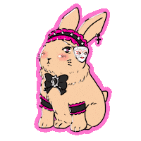 Rabbit Idol Sticker