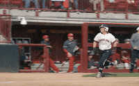 softball GIF by gamecocksonline