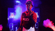 Baseball Hype GIF by NCAA Championships