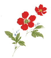 Flower Rose Sticker by YOLKE