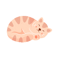 Cat Sleeping Sticker