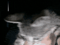 mmh GIF