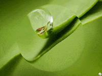 You Can Wow GIF by FranchiseONE.de