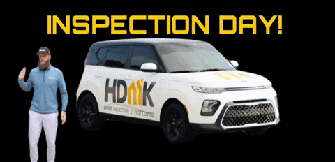 Inspection Day GIF by HDMK