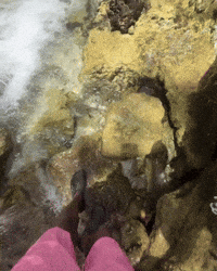 Scared Cold Water GIF