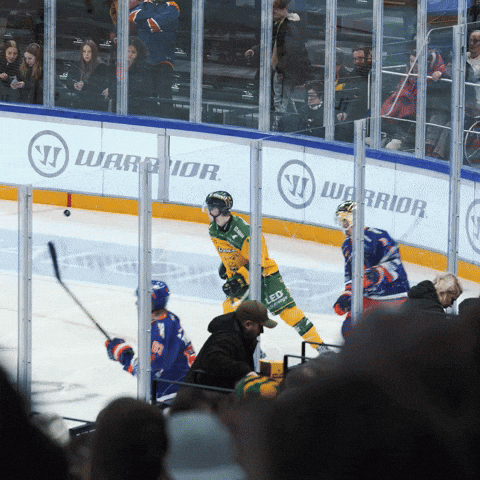 Ice Hockey GIF by TapparaTampere