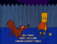 Season 2 GIF by The Simpsons
