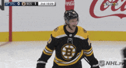 Ice Hockey Sport GIF by NHL