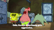 episode 1 whirly brains GIF by SpongeBob SquarePants