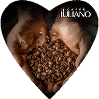 Coffee Caffe Sticker by Caffè Iuliano