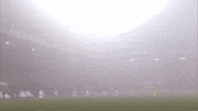 GIF by FOX Sports