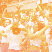 Ncaa Volleyball GIF by Texas Longhorns