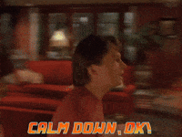 Calm Down Doc Brown GIF by Back to the Future Trilogy