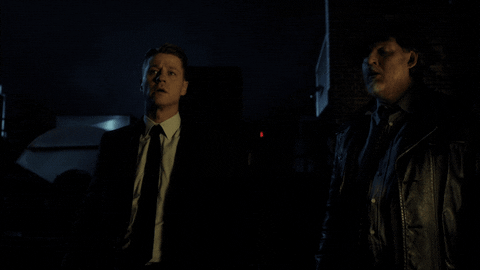 fox tv GIF by Gotham