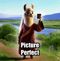 Picture Perfect Travel GIF by dalaillamazen