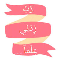 Pink Islam Sticker