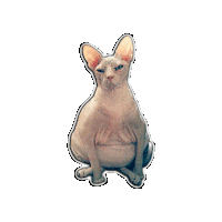 Fat Cat Sticker