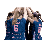 Team Volleyball Sticker by Neptunes_VolleyBall