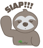 Sleep Ok Sticker by Life In Treetop