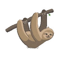 Hanging Good Time Sticker