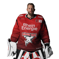 Hockey Nhl Sticker by Koelner Haie