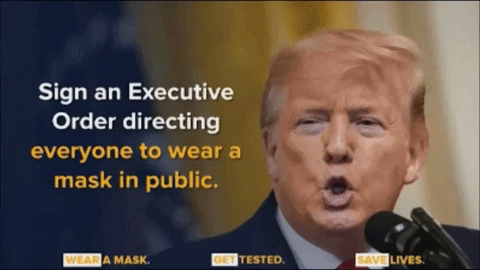 eringreene giphyupload coronavirus donald trump GIF