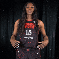Basketball Idk GIF by Indiana Fever