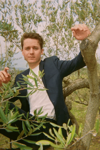 dianesagnier giphyupload GIF