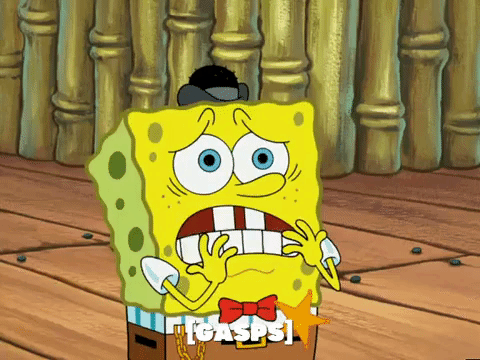 season 5 GIF by SpongeBob SquarePants