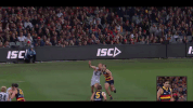 afl GIF by Adelaide Crows