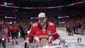 Stanley Cup Playoffs Win GIF by NHL