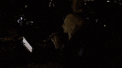 Party Birthday GIF by #nikaachris